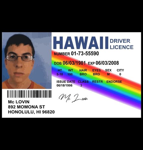 Obrázek produktu Pánská mikina Havajská Řidičská Licence McLovin Superbad