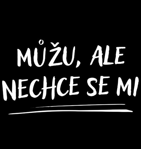 Obrázek produktu Pánské tričko Můžu, ale nechce se mi