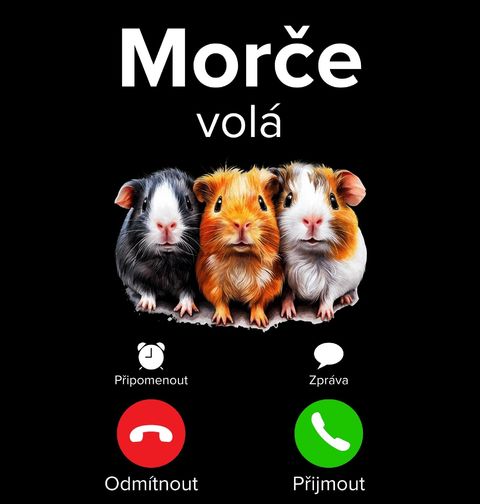 Obrázek produktu Dámské tričko Morče volá Phone Call