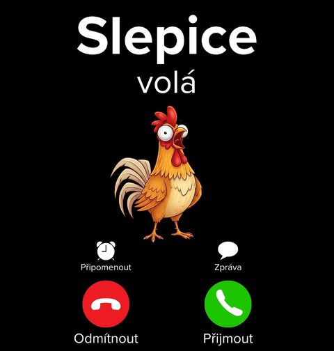 Obrázek produktu Pánské tričko Slepice volá Phone Call