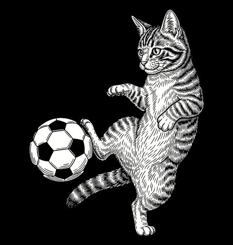 Obrázek produktu Dětské tričko Mourovatá Kočka Fotbalistka