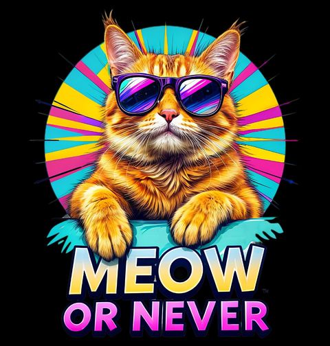 Obrázek produktu Pánské tričko Kočka v Brýlích Meow or Never