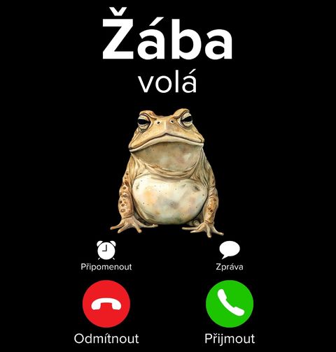 Obrázek produktu Pánské tričko Žába Volá Phone Call
