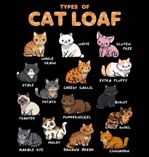 Obrázek produktu Pánské tričko Druhy Kočičích Bochníků Types of Cat Loaf
