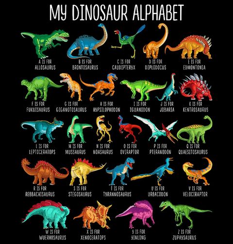 Obrázek produktu Dětské tričko Moje Dinosauří Abeceda My Dinosaur Alphabet