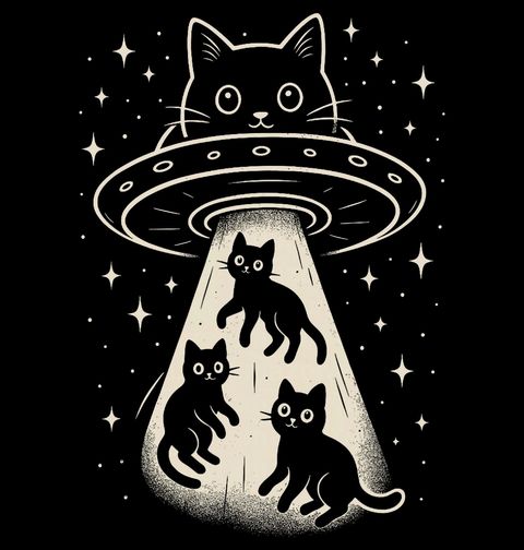 Obrázek produktu Dětské tričko Záhadné Kočičí UFO