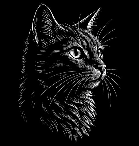 Obrázek produktu Pánské tričko Portrét Kočky Scratch Art