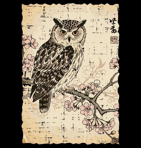 Obrázek produktu Dámské tričko Sova na Větvi Sakury Ukiyo-e Art