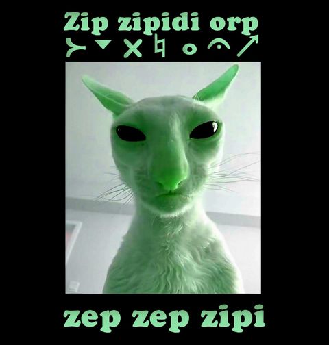 Obrázek produktu Dámské tričko Alien Kočka Meme Gnarp Gnarp
