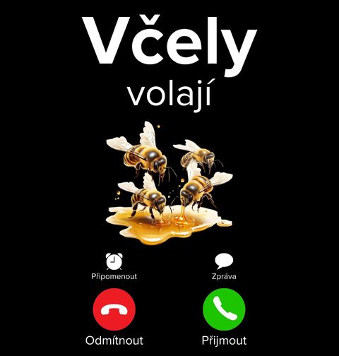 Obrázek produktu Pánské tričko Včely volají Phone Call