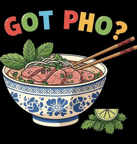 Obrázek produktu Dámské tričko Vietnamská polévka Pho Got Pho?