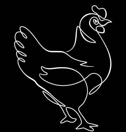 Obrázek produktu Dámské tričko Kohout jedním tahem One Line Art