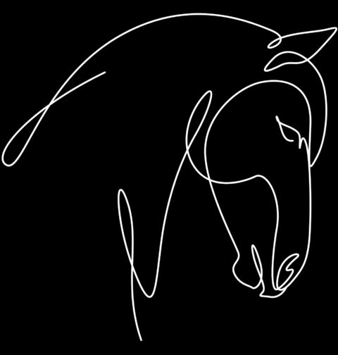 Obrázek produktu Pánská mikina Kůň jedním tahem One Line Art