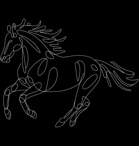 Obrázek produktu Dámské tričko Běžící Kůň Line Art