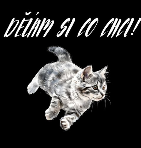 Obrázek produktu Pánské tričko Neposlušné Kotě Dělám si, co chci!