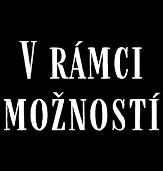 Obrázek 2 produktu Pánské tričko V rámci možností
