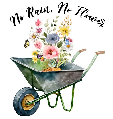 Obrázek produktu Dámské tričko Bez deště nejsou květiny No Rain, No Flowers