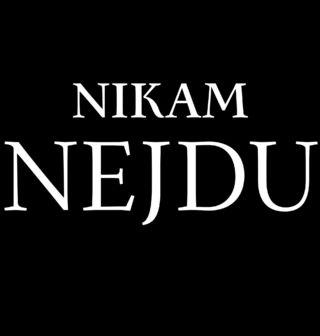 Obrázek 2 produktu Dětské tričko Nikam Nejdu