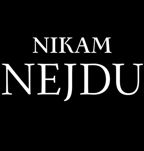 Obrázek produktu Pánská mikina Nikam Nejdu