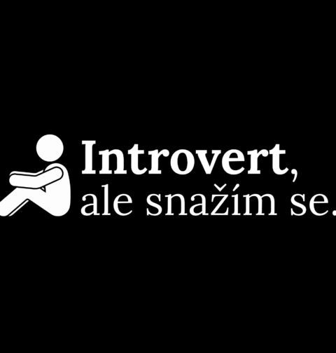Obrázek produktu Dámské tričko Introvert, ale snažím se.