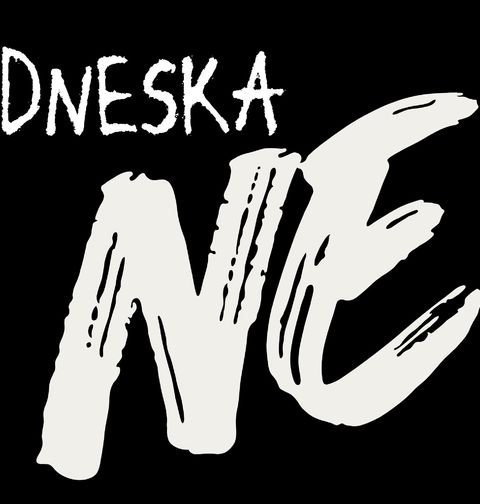 Obrázek produktu Dětské tričko Dneska NE