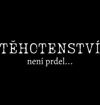Obrázek 2 produktu Dámské tričko Těhotenství není prdel