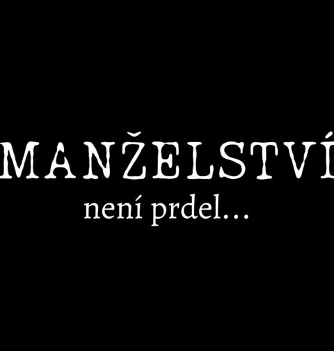 Obrázek produktu Pánská mikina Manželství není prdel
