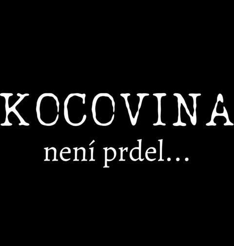 Obrázek produktu Dámské tričko Kocovina není prdel
