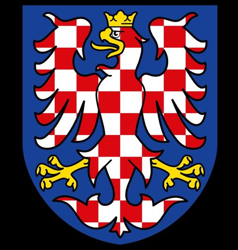 Obrázek produktu Pánská mikina Moravská orlice Znak Moravy