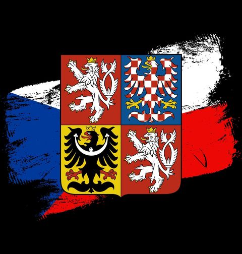Obrázek produktu Pánská mikina Velký státní znak a Vlajka České republiky