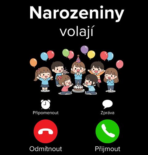 Obrázek produktu Pánská mikina Narozeniny volají Phone Call