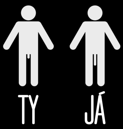 Obrázek produktu Pánské tričko TY vs. JÁ