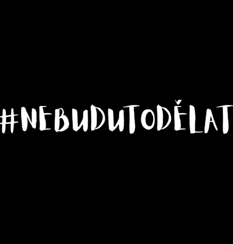Obrázek produktu Pánské tričko Hashtag #NebuduToDělat