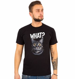 Obrázek 1 produktu Pánské tričko Vyděšená Kočka What?