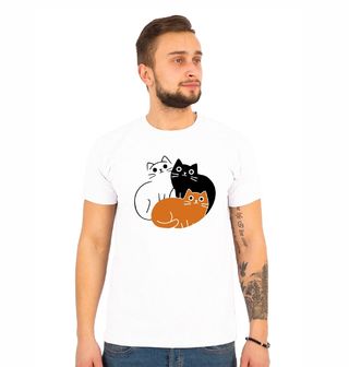 Obrázek 1 produktu Pánské tričko Kočičí trio - Černá, Bílá, Oranžová