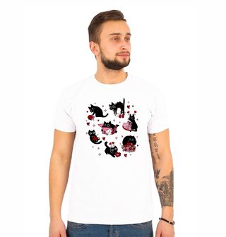 Obrázek 1 produktu Pánské tričko Zamilovaná Kočka