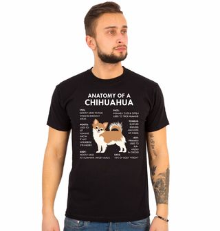 Obrázek 1 produktu Pánské tričko Popis Čivavy Anatomy of a Chihuahua
