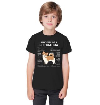 Obrázek 1 produktu Dětské tričko Popis Čivavy Anatomy of a Chihuahua