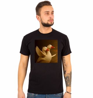 Obrázek 1 produktu Pánské tričko Husí Láska na Titanicu I’m flying