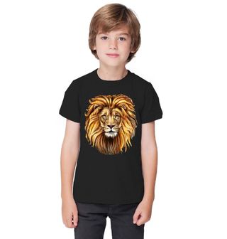 Obrázek 1 produktu Dětské tričko Lev Aslan Mighty Lion