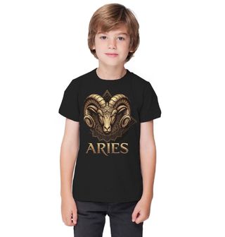 Obrázek 1 produktu Dětské tričko Znamení Horoskopu Beran Aries