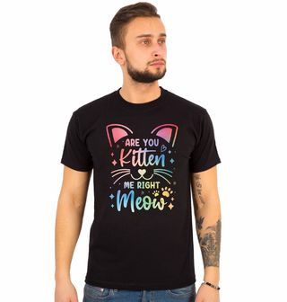 Obrázek 1 produktu Pánské tričko To si ze mě děláš kočku?