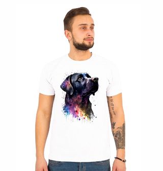 Obrázek 1 produktu Pánské tričko Labradorský retrívr Colorful Labrador