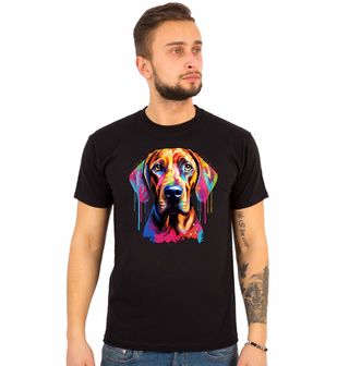 Obrázek 1 produktu Pánské tričko Barevný Rhodéský ridgeback