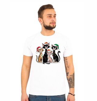 Obrázek 1 produktu Pánské tričko Kočky ve Vánočních Čepicích