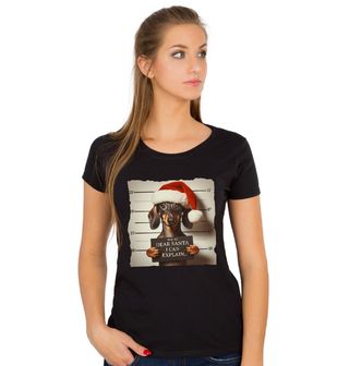 Obrázek 1 produktu Dámské tričko Santo, já to vysvětlím! Jezevčík Busted