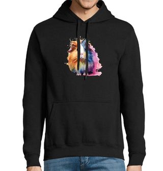 Obrázek 1 produktu Pánská mikina Barevné Morče