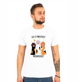 Obrázek 1 produktu Pánské tričko Life is pawsitively meowvelous!