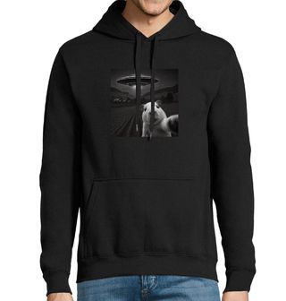 Obrázek 1 produktu Pánská mikina Únos Morčete UFO