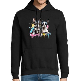 Obrázek 1 produktu Pánská mikina Psí sourozenci Bostonský teriér